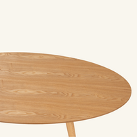 Carsyn oval coffee table